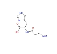 KARNOZIN
